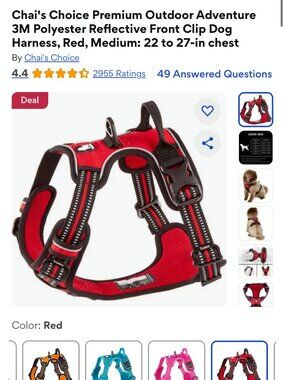 Dog Harness